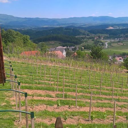 Vineyard Cottage Lustek Novo Mesto Exterior foto