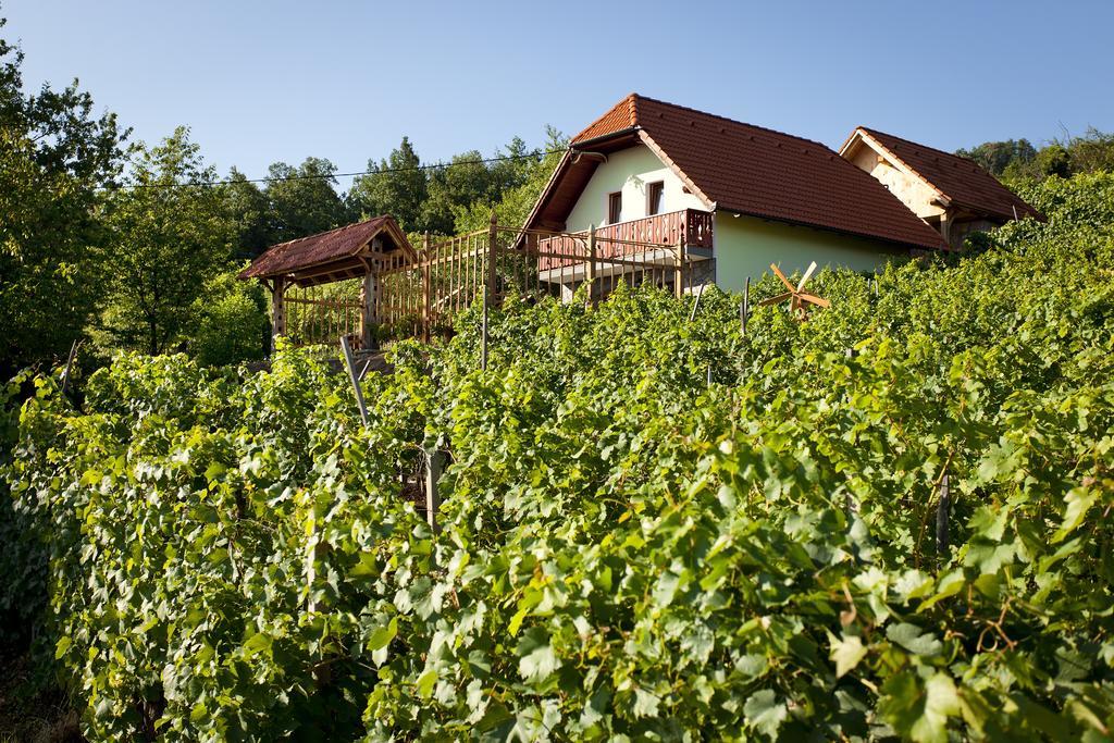 Vineyard Cottage Lustek Novo Mesto Exterior foto