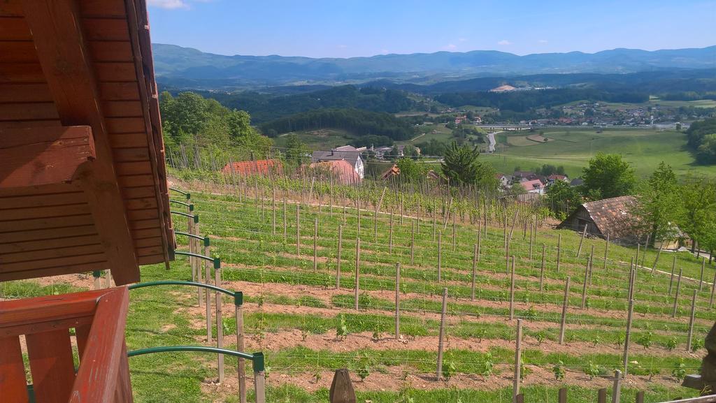 Vineyard Cottage Lustek Novo Mesto Exterior foto